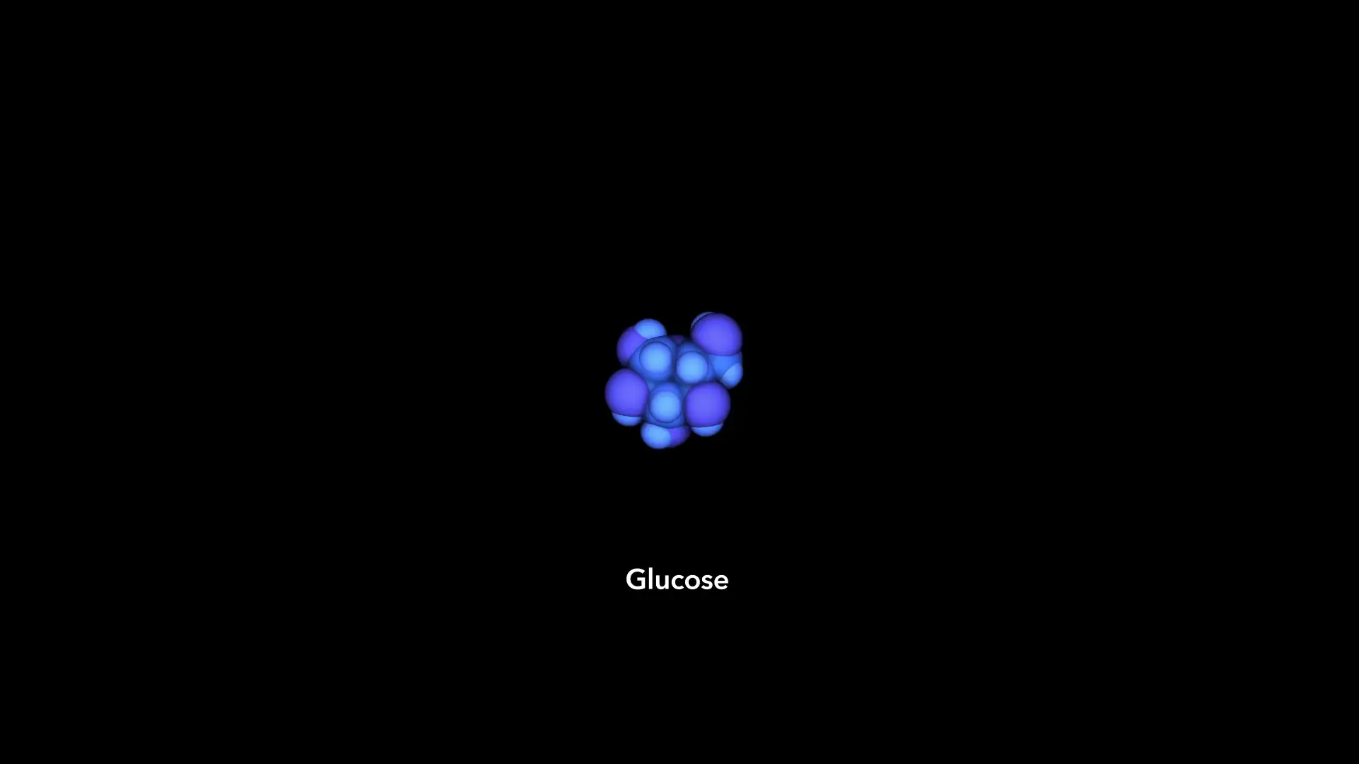 Glycolysis Steps molecular animation by Drew Berry wehi.tv
