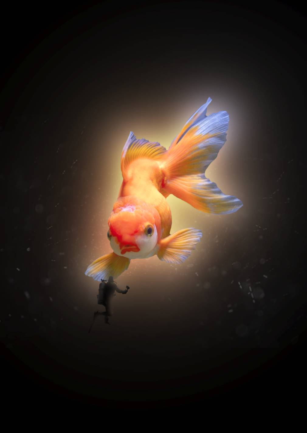 Goldfish, Me, Photoshop, 2020 | Scrolller