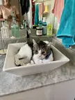 Good Morning Mama!