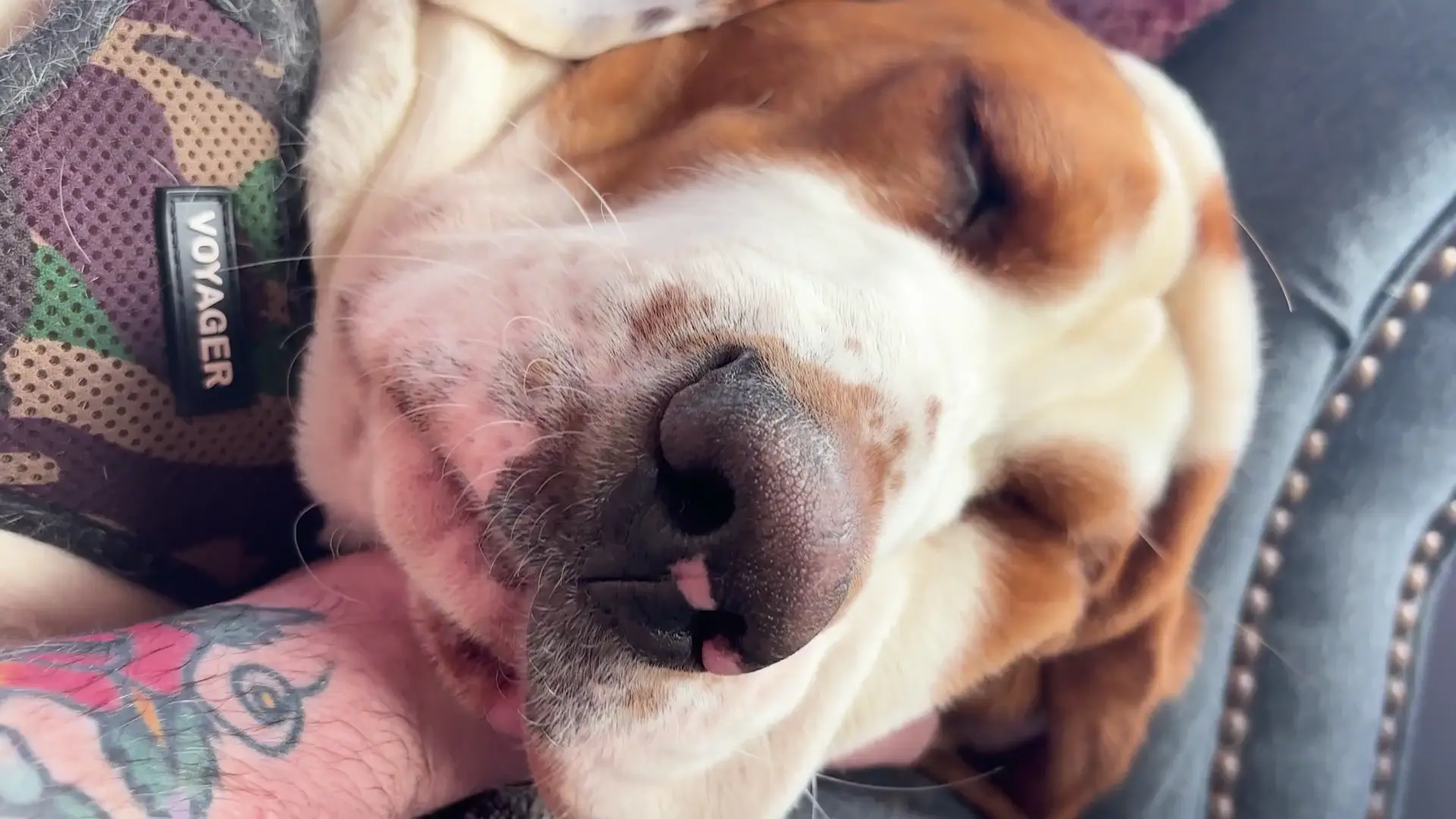Good ol’ massage