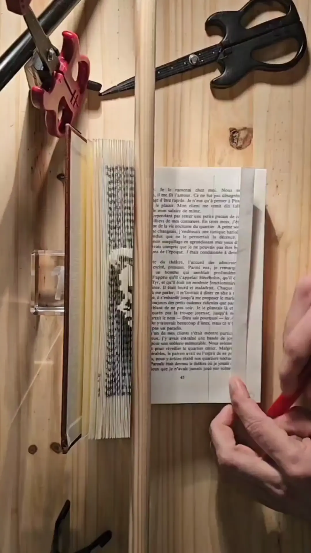 Gorgeous Book Art