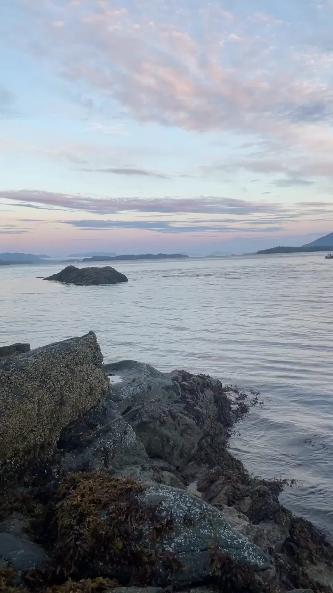 Got jump scared by a Whale after just arriving to my fishing spot