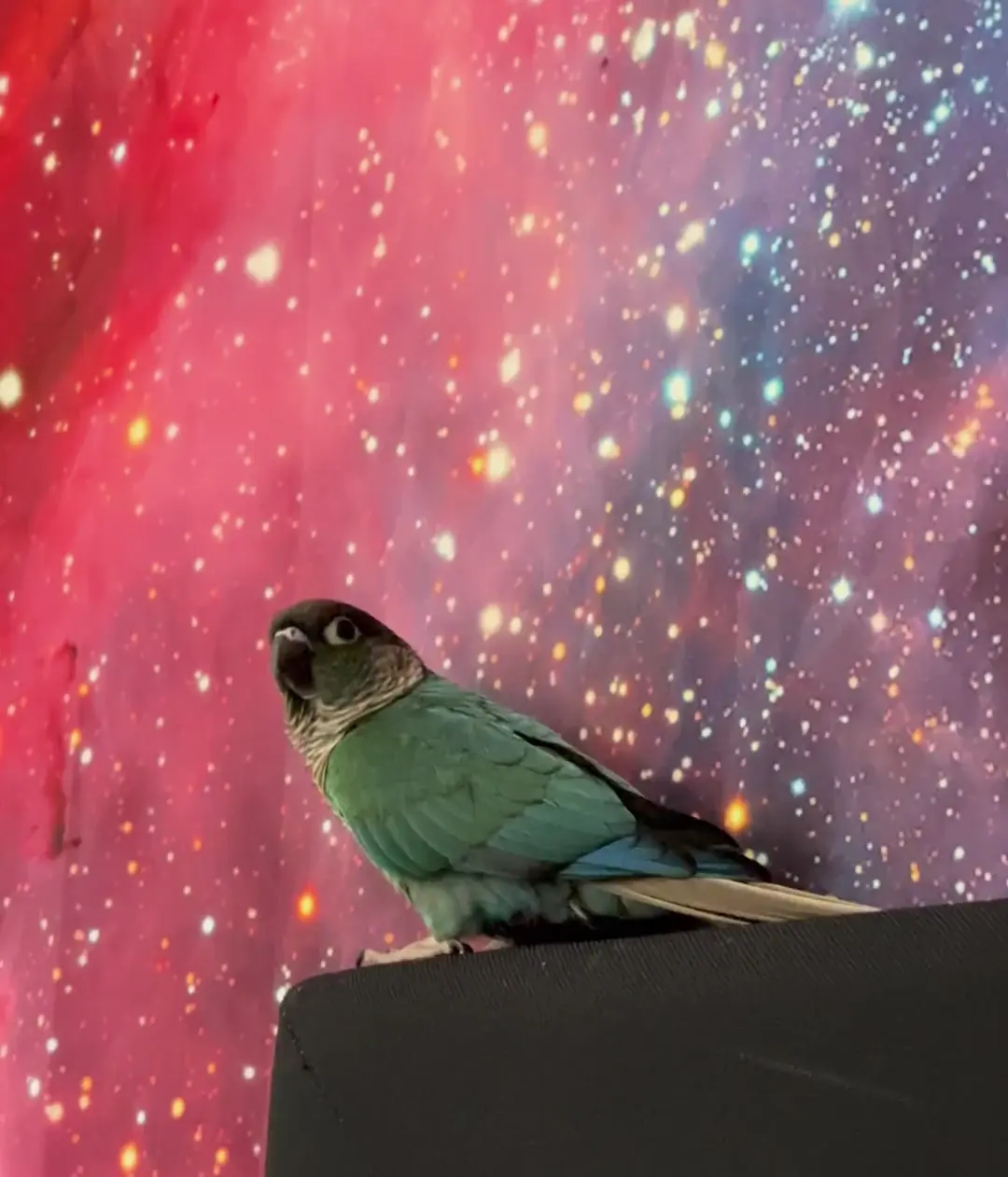 Got Pluto saying “Come here” again 🥹