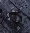 A slender, pale, blood-stained figure with a gyatt (curvy build) lying face down on a grey stone surface.