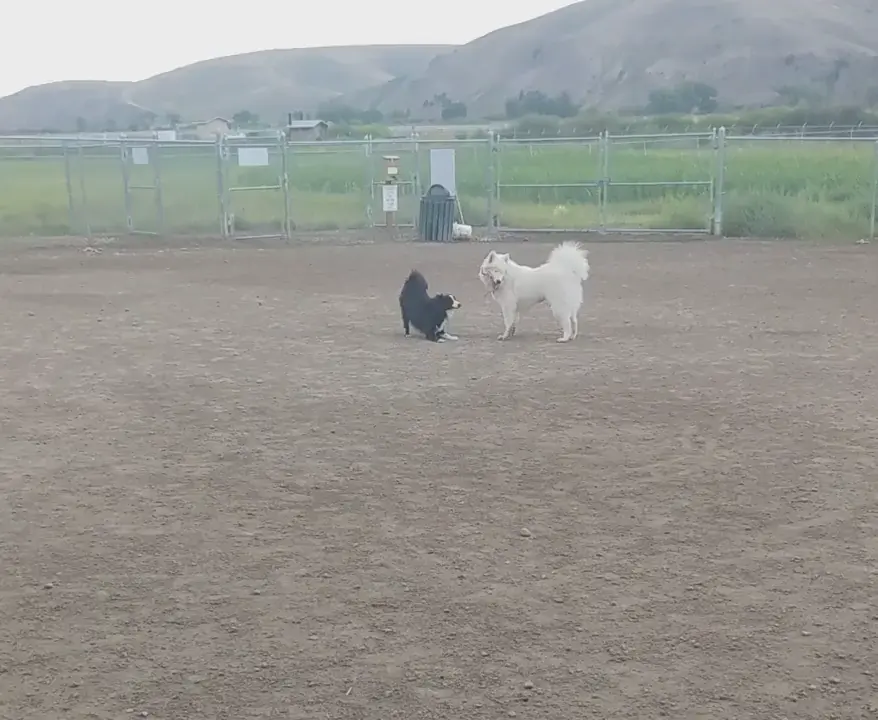 Hanging out at the park