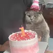 Happy birthday little girl