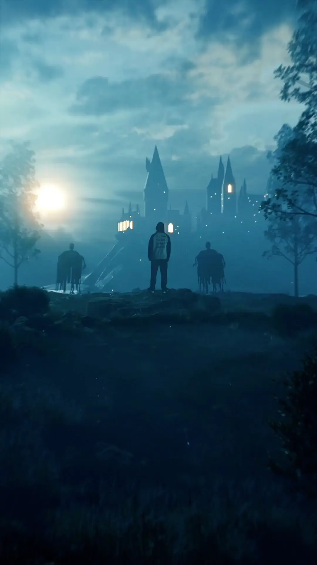 Harry Potter Magic Awakened