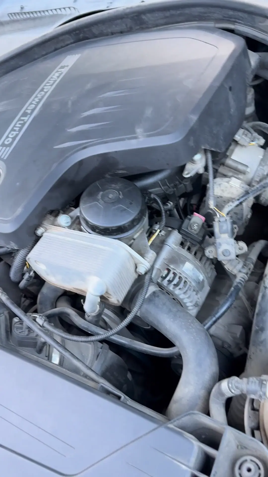 Having trouble identifying what this sound is. 