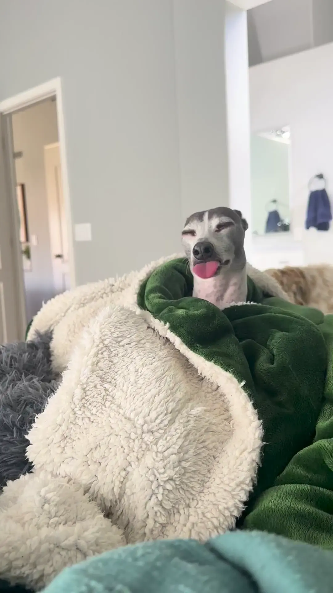 He dreams of ice cream