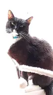 He looks so smug 