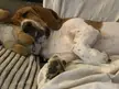 He’s a little sleepy
