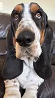 Heard the word “bath”. He’s not happy