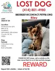 Help find STOLEN dog