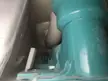 Help my rat is not coming out 