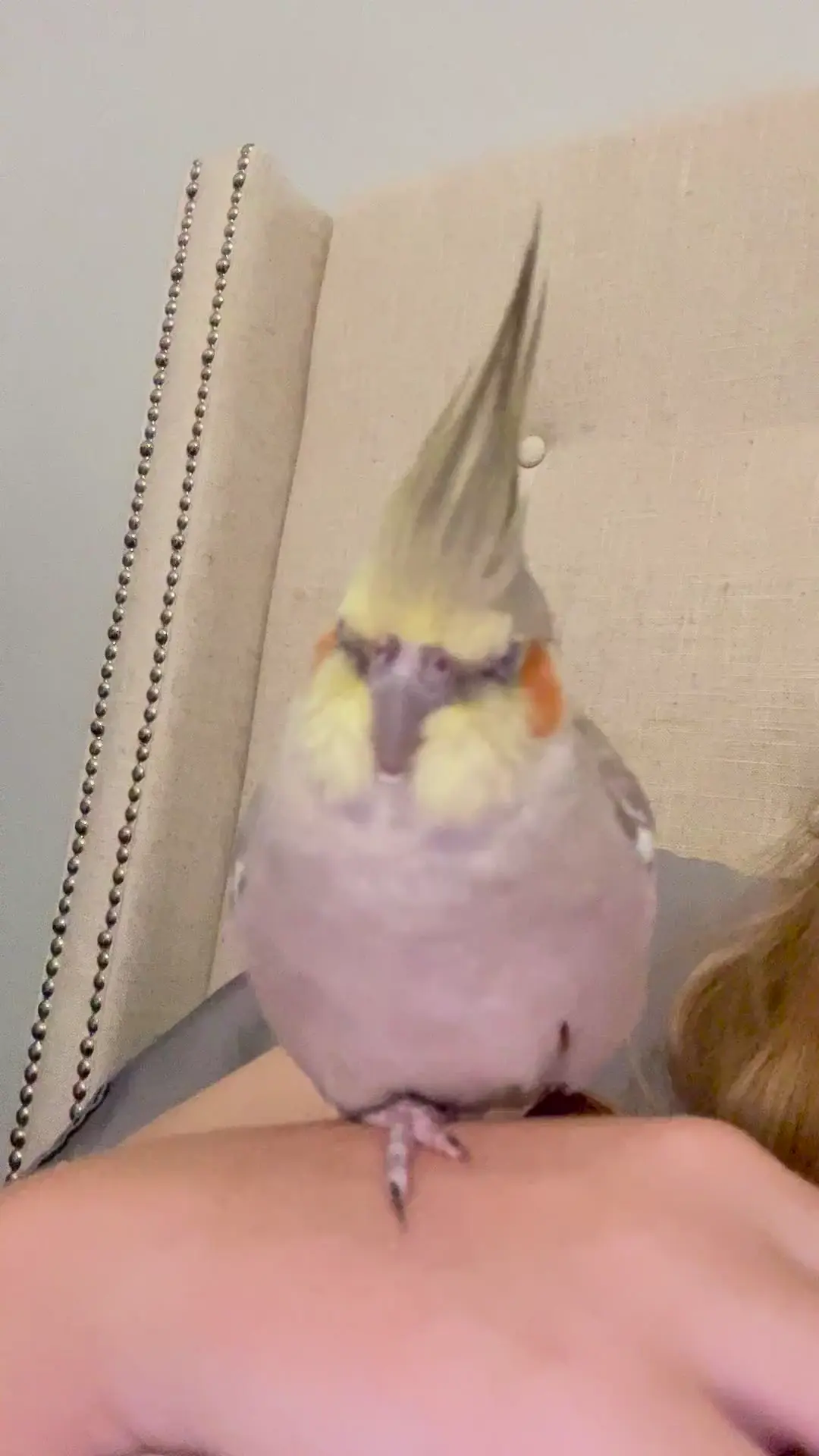 HELP!!! Where’d her foot go!!!