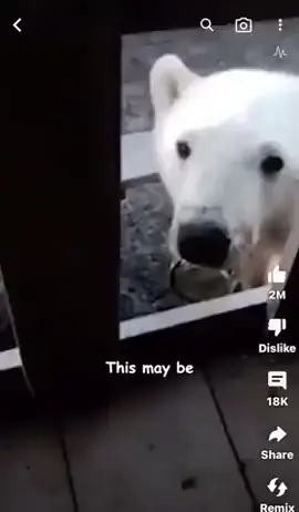 Helping a bro out
