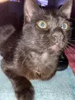 Her little mouth 