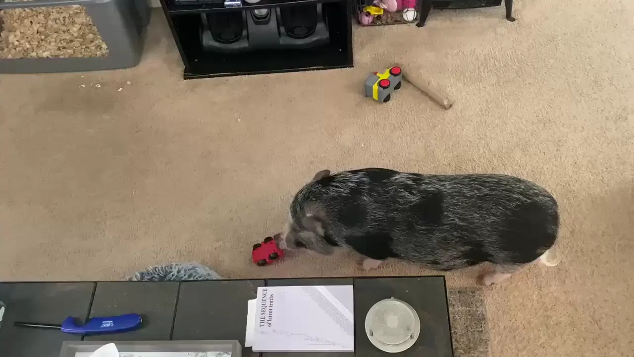 Here, Claire is featured playing with her tow truck (: