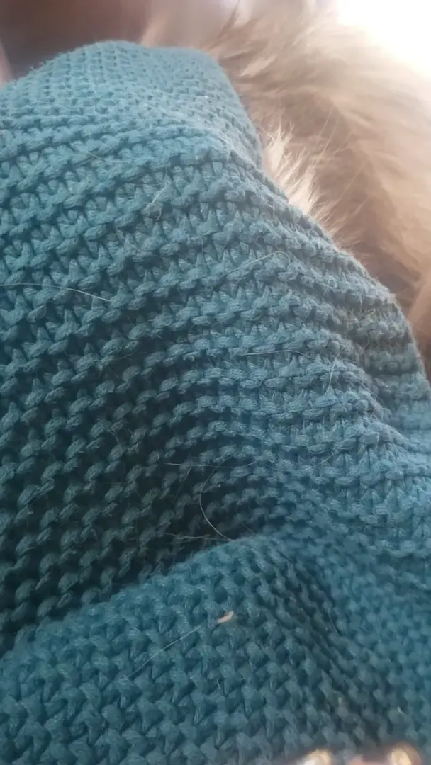 Hiding Hank