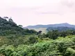 High Altitude Plains. Horton Place, Sri Lanka. [OC][4128 x 3096]