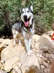 Hiking makes him happy 