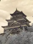 Hiroshima Castle in IR