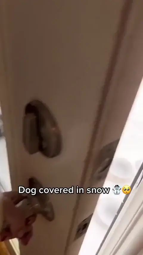 His coat is so thick!