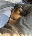 His favourite way to cuddle