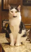 His name is Mr. Flynn