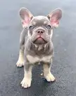 His name is the last thing u eat