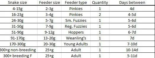 Thumbnail for Impact Of Feeding Frequency On Western Hognose Habitat