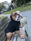Hoodie weather in Canada 