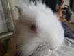 Hopping up to my neck for a - Boop , I can't resist .