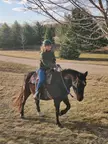 Horse Skills