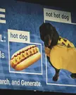 Hot Dog?