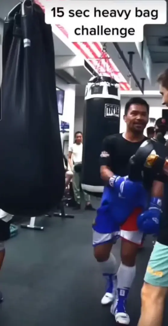 How 8 division champion throw a punch