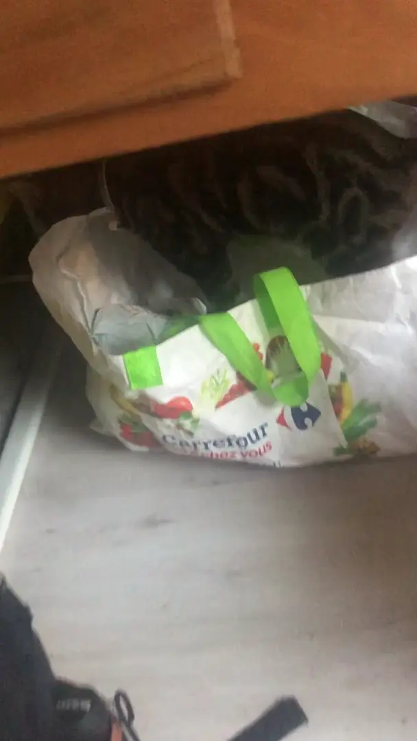 How did you get under ??