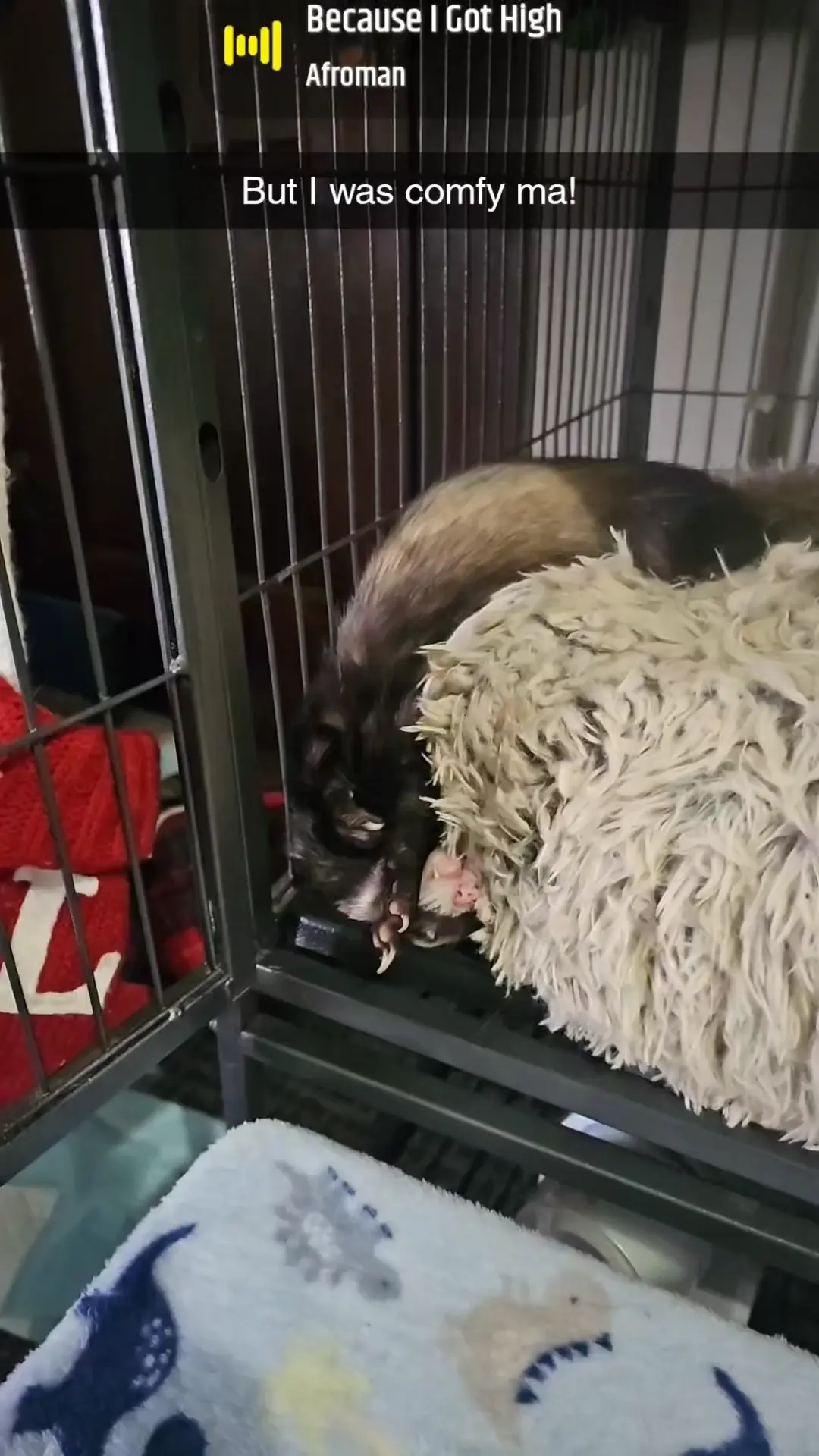 How does this not hurt?😆