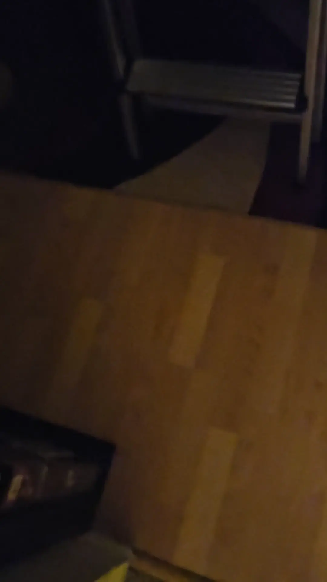 How I Met My Balcony Owls