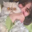 How  is my cat looking

Cute       Or.        Not
