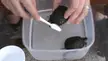 How to brush your turtle