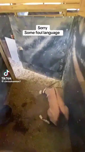 interestingasfuck
