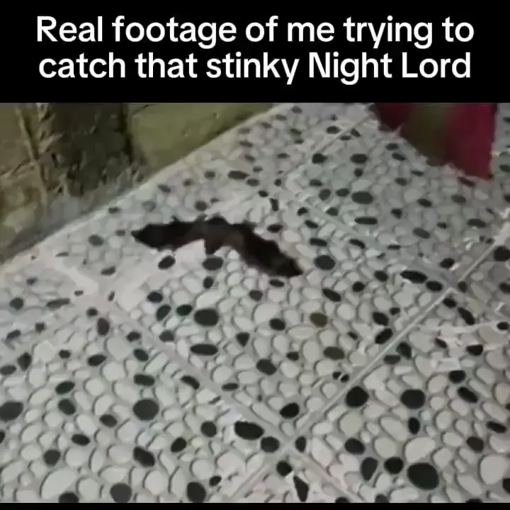 I don't remember Night Lords being so. . .squeaky