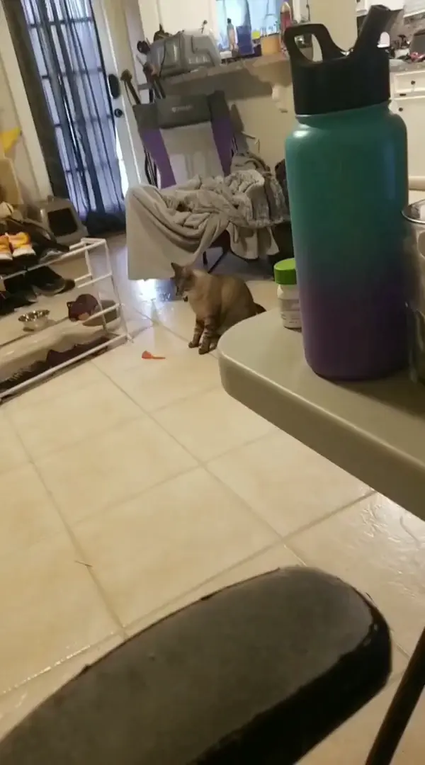 I don't understand why he got scared
