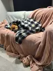 I don't wanna go to work today 