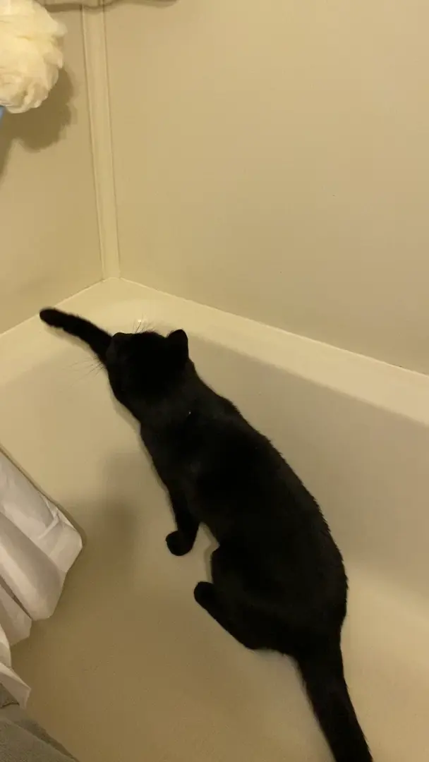 I heard banging coming from the bathroom…