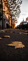 I love Autumn 