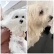 I need to report a crime.