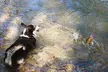 I present you- “The Bark and The Bite”