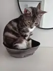 I put my hat down for two minutes, and...